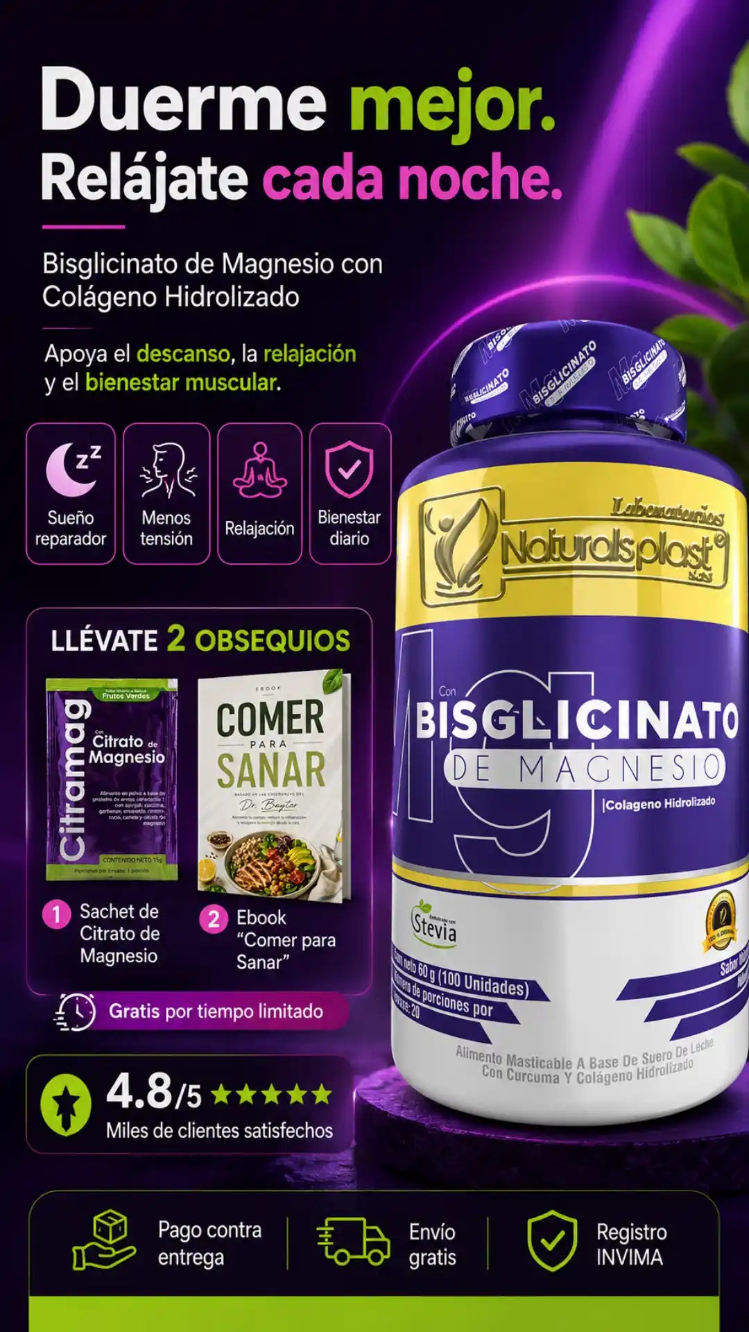 BSGL 4